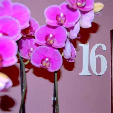 Abay 3* Bellariva Di Rimini