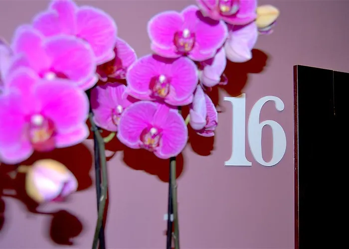 Abay 3* Bellariva Di Rimini